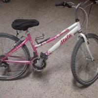 Bici atala Daisy 24