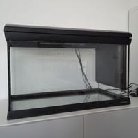 Acquario Mirabello 60