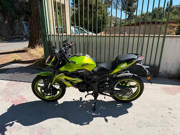 benelli bn 125