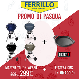 Barbecue a carbone Master Touch weber