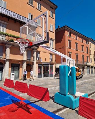 Canestri Da Basket Professionali