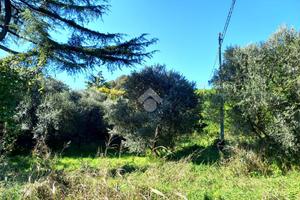 TER. RESIDENZIALE A TEOLO