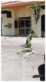 Bilocale Borgo Sabotino