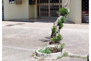Bilocale Borgo Sabotino