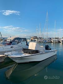 Boston Whaler Montauk 210 - 2013