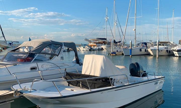 Boston Whaler Montauk 210 - 2013