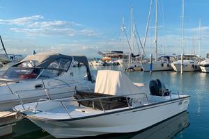 Boston Whaler Montauk 210 - 2013