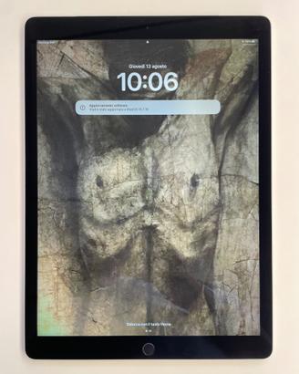Condividi iPad Pro 12,9" di 1ª gen. 256 GB +