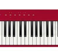 PIANO DIGITALE CASIO PRIVIA PX S1000RD