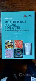 testo universitario