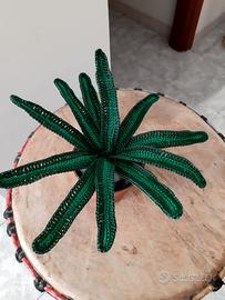 Piantina grassa a uncinetto