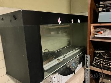 Acquario per pesci piante marino o acqua dolce