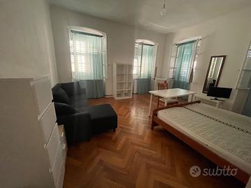 Ampia stanza doppia o uso singola