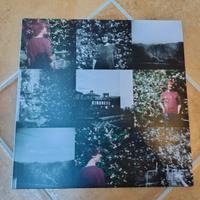 Richard Youngs Belief - Vinile