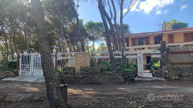 Pian terreno di villetta in località Peonia Rosa