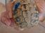 Immagine 1