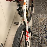 Focus Raven 29er M