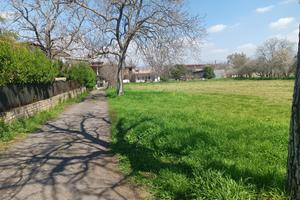 Terreno Agricolo