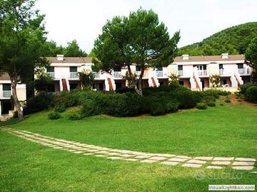 Pugnochiuso - I Delfini dal 26 luglio al 2 agosto