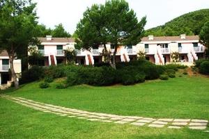 Pugnochiuso - I Delfini dal 26 luglio al 2 agosto