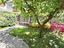 Immagine 28