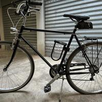 Bici da città