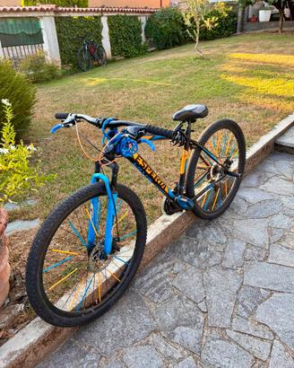 Mountain bike ragazzo
