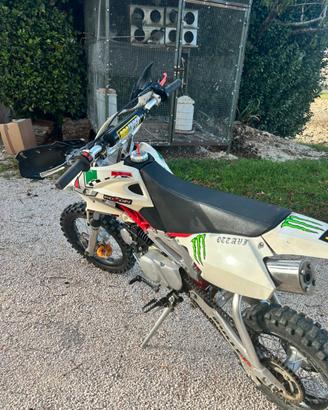 Pit bike 125 4t