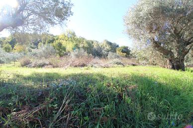 RUSTICO A MONTALTO UFFUGO