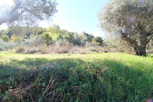 RUSTICO A MONTALTO UFFUGO