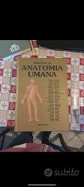 Trattato di Anatomia Umana Completo