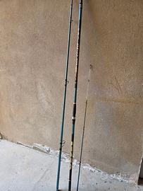 Canna Veret Vittoria C20