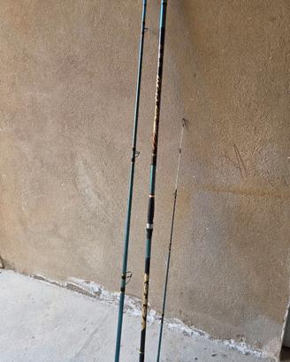 Canna Veret Vittoria C20