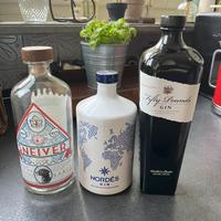 3 bottiglie gin da collezione. Vuote