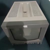 monitor Sony 10 pollici