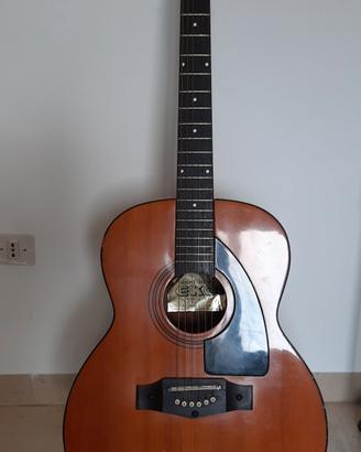 Eko Navajo 6