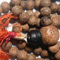 Collana Mala 108 Semi originali di Bodhi Tibet