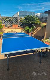 tavolo di ping pong