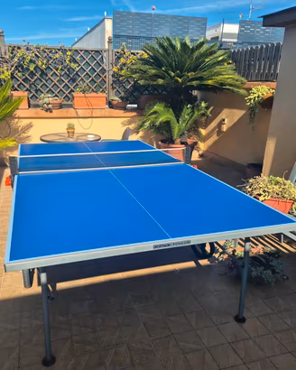tavolo di ping pong