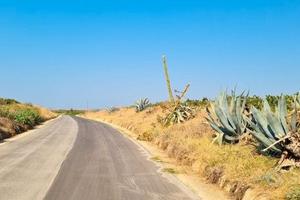 Azienda agricola con uliveto e vigneto di 10 etta