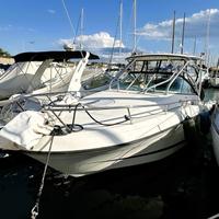 Hydra-sports 2900 Vx (2007)