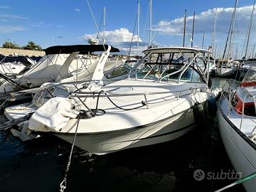 Hydra-sports 2900 Vx (2007)