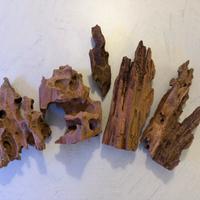 Legni per acquario Dragon Wood