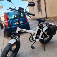 bici elettrica 