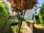 Immagine 26