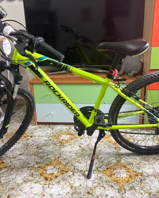 Bicicletta 