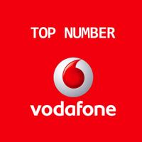 Sim Top numeber 8 cifre uguali 333 x 33333 y