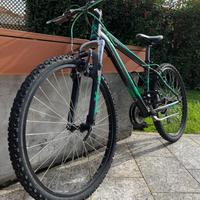 Bici MTB ragazzo doublezz