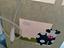 Immagine 4