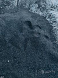 Terra vulcanica dell’Etna 